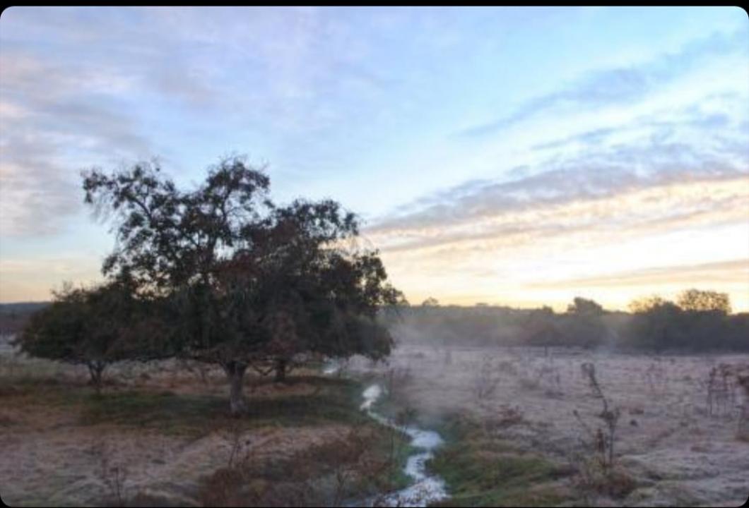 Foto 4 de 4 — Boa Esperança do Sul tem frio intenso e geada nesta sexta-feira (30)